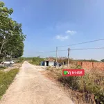 Bán đất 5x65x50 tại Bình Chánh gần Phúc Hưng - Ảnh thu nhỏ 2