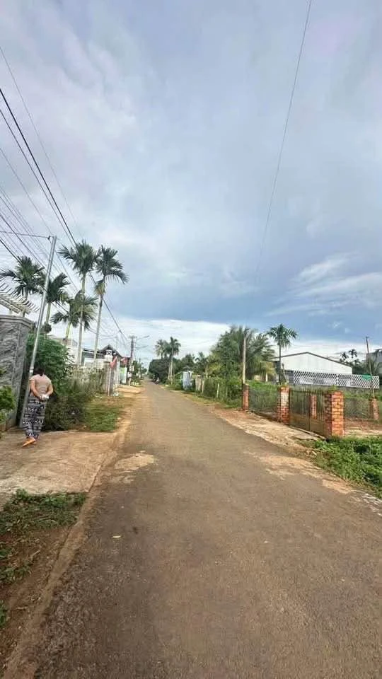 Bán đất thổ cư 135m² mặt tiền Phường Tân An, Cần Giờ - Ảnh thu nhỏ 3