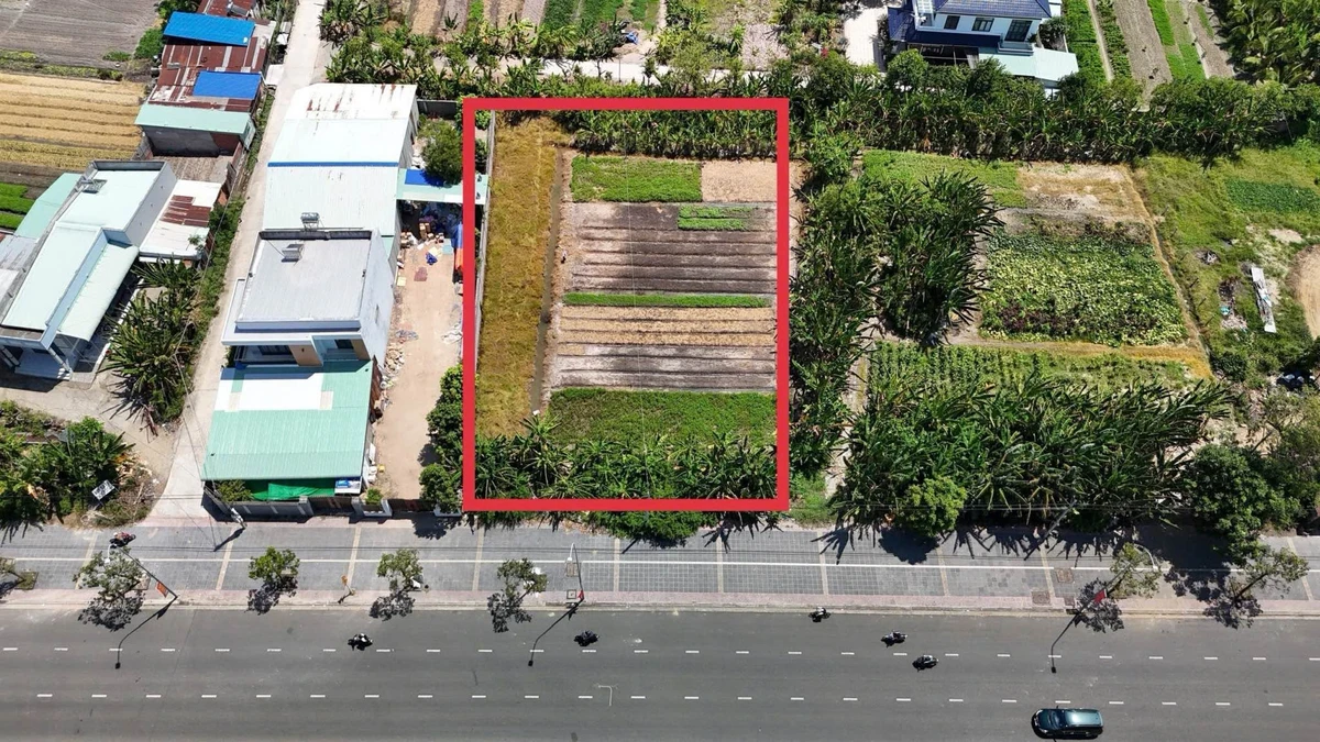 Bán lô đất Văn Tiến Dũng Tân Hưng 1000m2 11 tỷ 800 triệu - Ảnh 1