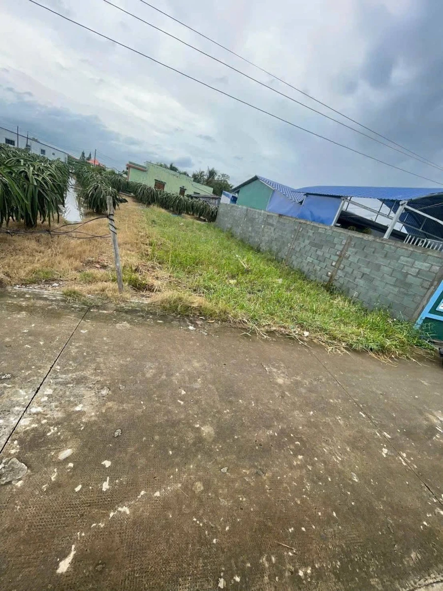 Bán đất thổ cư 7,5x18m giá 499 triệu tại ấp 1, Phú Ngãi Trị, Châu Thành, Long An - Ảnh thu nhỏ 3