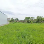Bán lô đất thổ cư 113m² Phong Nẫm, Phan Thiết - Ảnh thu nhỏ 3