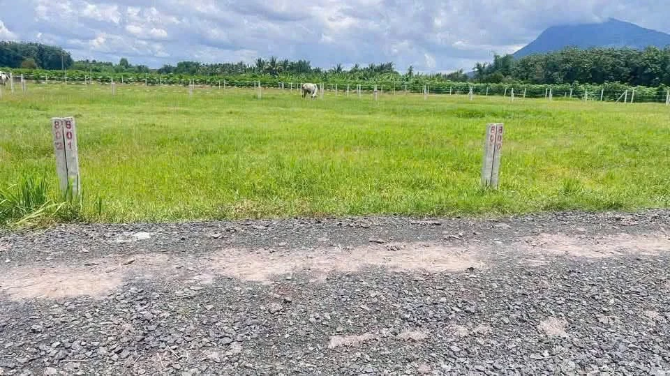 Bán đất nền 5x30-40m, 299-319 triệu tại Tây Ninh - Ảnh 1