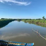 Bán 52.000m² đất nuôi tôm cua Năm Căn Cà Mau 3 tỷ 744 triệu - Ảnh thu nhỏ 3