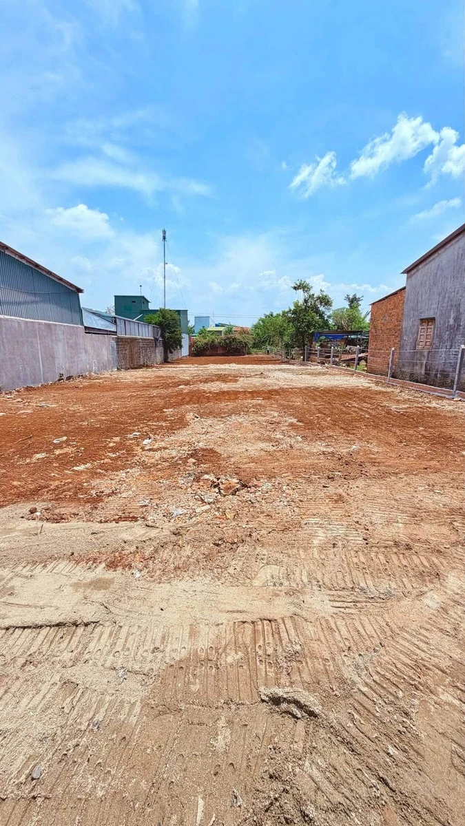 Bán đất Bình Chánh 856m2 đường A4, giá 5,39 tỷ - Ảnh thu nhỏ 2