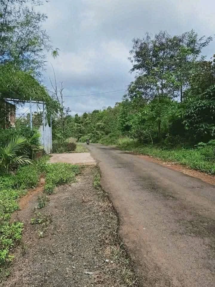 Bán đất mặt tiền 2.000m² Nghĩa Phú, Lâm Đồng 900 triệu - Ảnh thu nhỏ 3