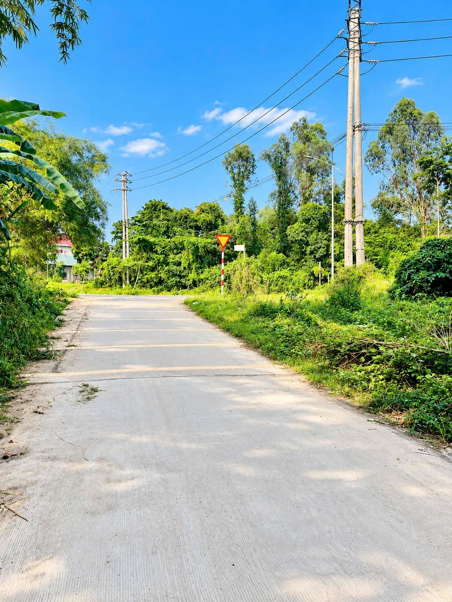 Bán 2 lô liền kề 88m² Trưng Nữ Vương, Thanh Thuỷ, 1,08 tỷ - Ảnh thu nhỏ 2