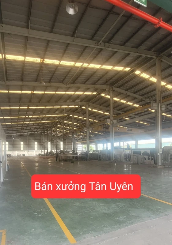 Bán xưởng 6000m² Khánh Bình Tân Uyên, cho thuê 300tr/tháng