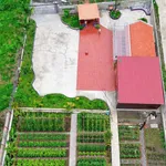 Bán nhà vườn 1800m² An Thái Phú Giáo giá 3 tỷ 5 - Ảnh thu nhỏ 3