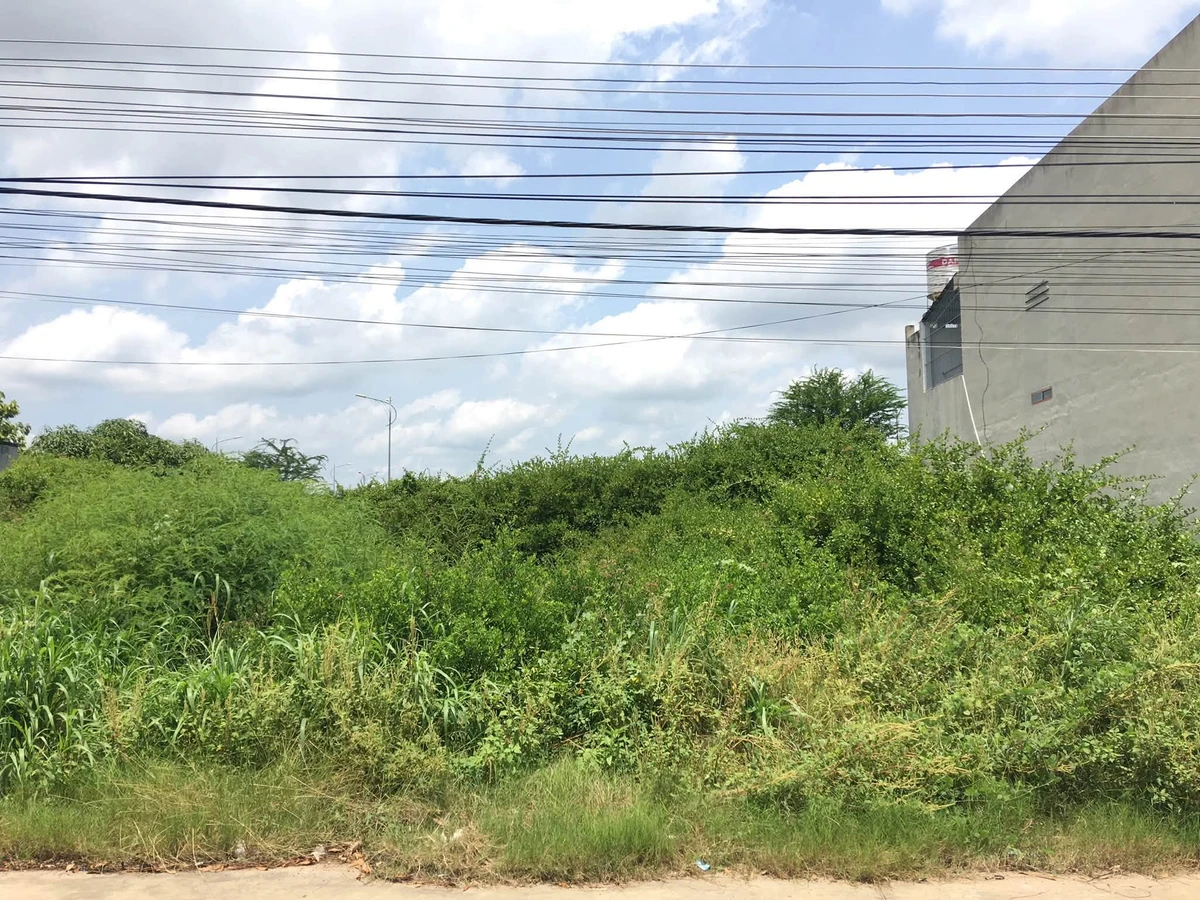 Bán lô đất 100m2 Bến Lội Phan Thiết gần KDC Lại An Viên - Ảnh thu nhỏ 2