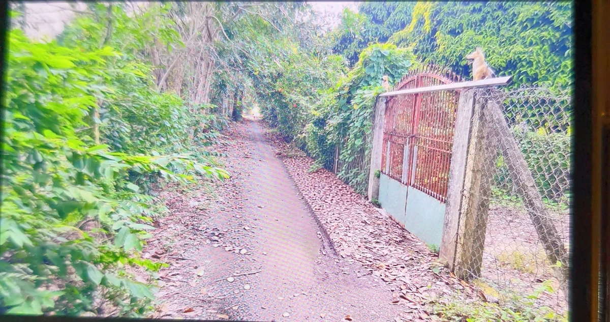 Bán lô đất vườn 2000m² Tân An 5 tỷ - Ảnh 1