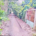 Bán lô đất vườn 2000m² Tân An 5 tỷ - Ảnh thu nhỏ 1