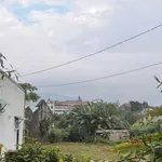 Bán đất 2220m2 mặt tiền 15m đường Nguyễn Hữu Chỉnh, Phường 2, Bảo Lộc - Ảnh thu nhỏ 3