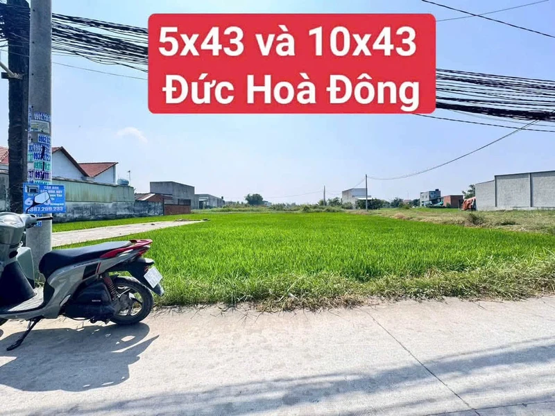 Bán đất Đức Hòa Đông 215m² giá 1,19 tỷ