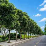 Bán lô đất Khu Đô Thị Quang Minh 75m2, giá 2 tỷ 4 - Ảnh thu nhỏ 2