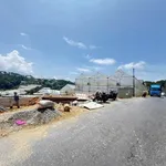 Bán lô góc 295m² mặt tiền đất nền Đà Lạt 11.5 tỷ - Ảnh thu nhỏ 1