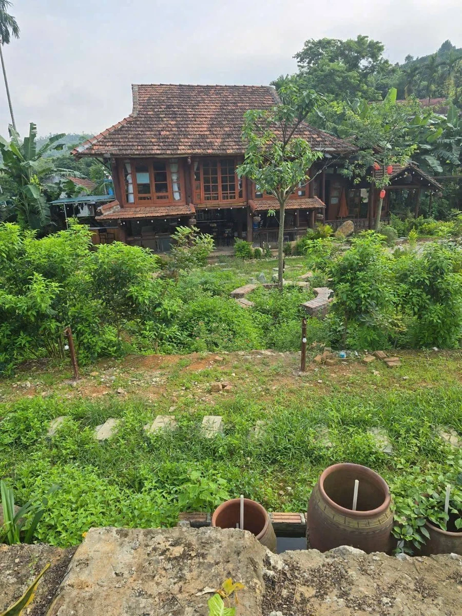 Bán nhà vườn 2600m² Ba Vì Hà Nội, giá hơn 4 tỷ - Ảnh thu nhỏ 5