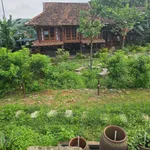 Bán nhà vườn 2600m² Ba Vì Hà Nội, giá hơn 4 tỷ - Ảnh thu nhỏ 5