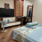 Bán nhà lô góc 3 tầng 52m2 ngõ ôtô gần chợ Lũng Hoa, Đằng Hải - Ảnh thu nhỏ 5