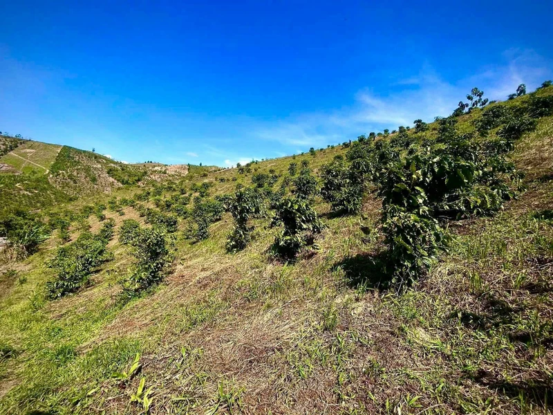 Bán đất mặt tiền 150m², Hà Huy Giáp, Huế bannhatrangdai