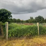 Bán 2 lô đất Nam Ban Lâm Hà Lâm Đồng, 400m² và 800m² - Ảnh thu nhỏ 2