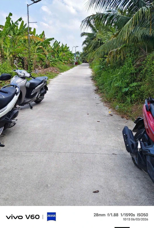 Bán 1200m² đất nền Giao Long, Vĩnh Long - 1 tỷ 950 triệu