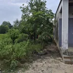 Bán nhà cấp 4 8x42 (336m²) Châu Thành, Tây Ninh 400 triệu - Ảnh thu nhỏ 3