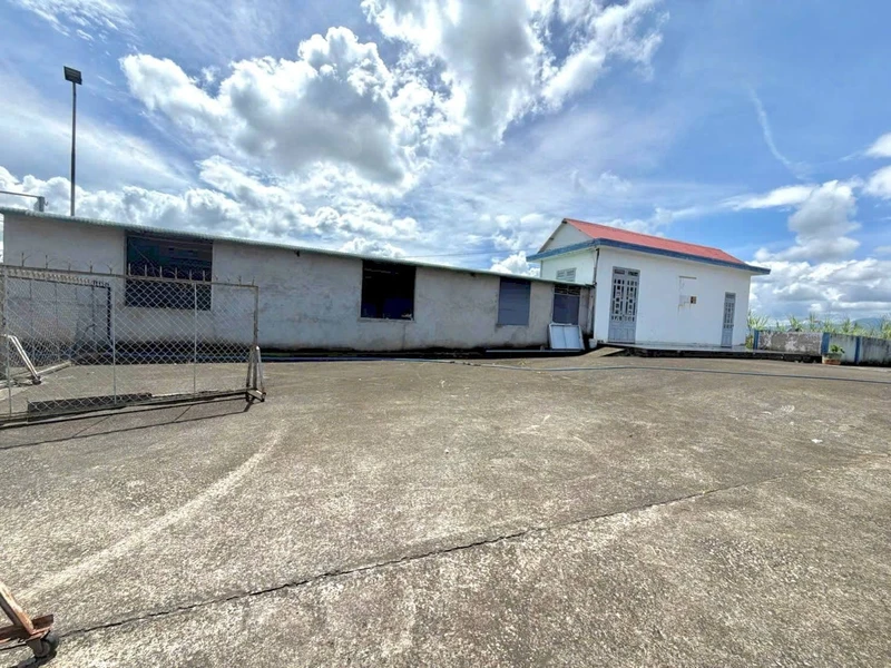 Bán cây xăng Ninh Gia, Đức Trọng 2.383m² - 6,5 tỷ