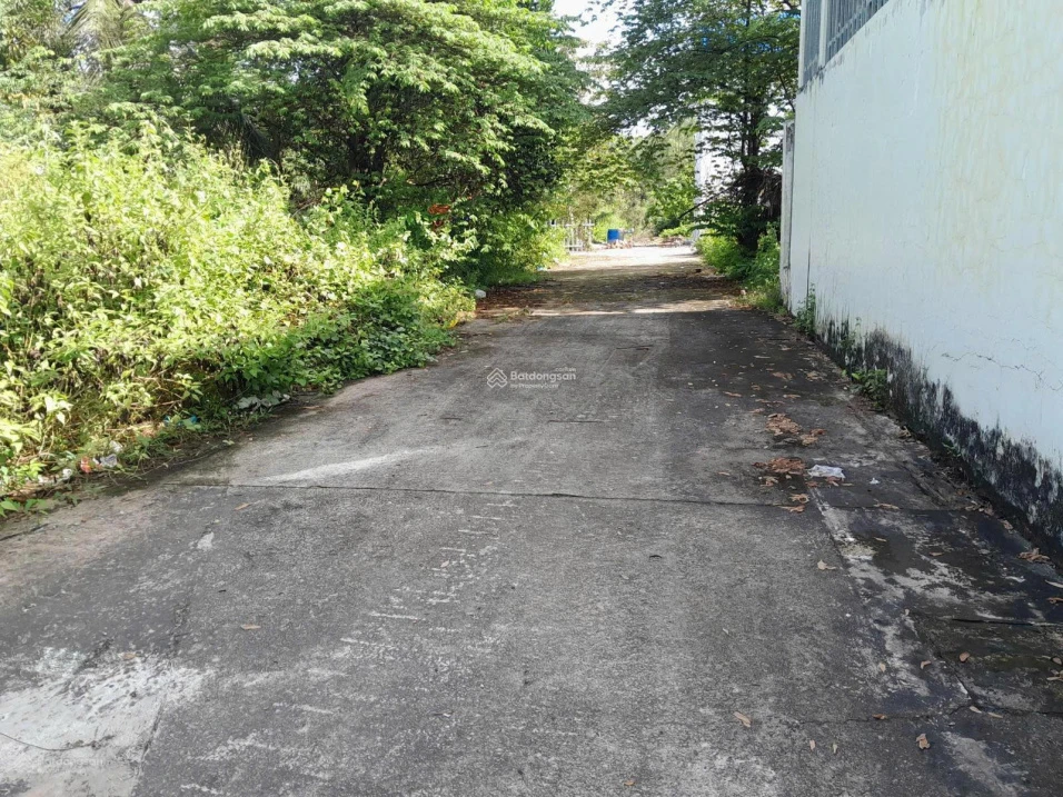 Chính chủ cần bán lô đất đẹp 108m² tại Ấp Cây Thông Trong, Xã Cửa Dương, TP Phú Quốc, Kiên Giang - Ảnh thu nhỏ 5
