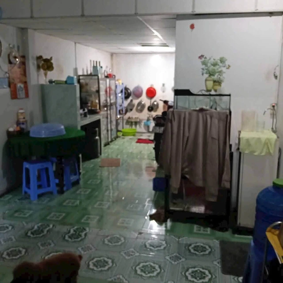 Bán nhà vườn 168m2, 4 PN, 2 WC tại Bến Lức Long An 1,45 tỷ - Ảnh thu nhỏ 4