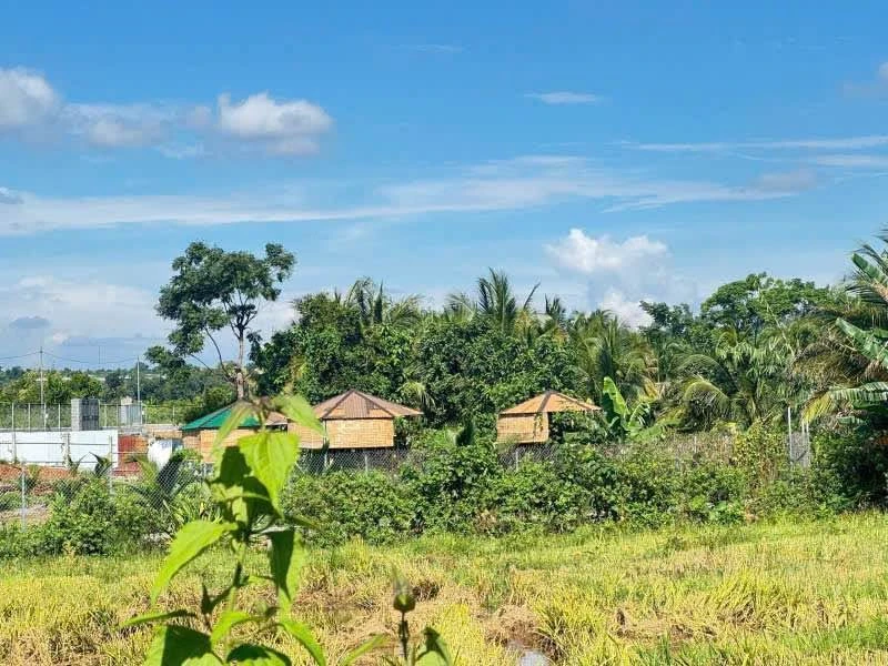 Bán đất 2300m² Cư Êbur Buôn Ma Thuột 1,1 tỷ - Ảnh thu nhỏ 3