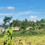 Bán đất 2300m² Cư Êbur Buôn Ma Thuột 1,1 tỷ - Ảnh thu nhỏ 3