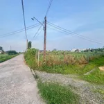Bán đất thổ cư 840m2, 3 mặt tiền, sổ hồng, Tuyên Quang, Lâm Đồng - Ảnh thu nhỏ 3