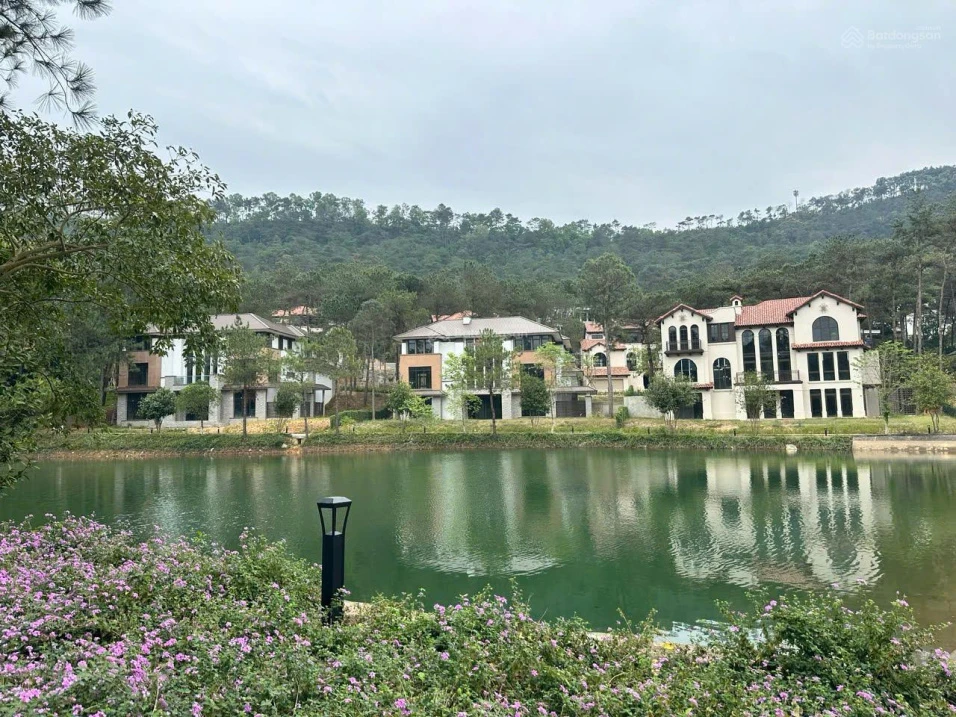 Bán căn đơn lập cuối cùng của phân khu Valley Park, giá 22 tỷ - Ảnh thu nhỏ 2