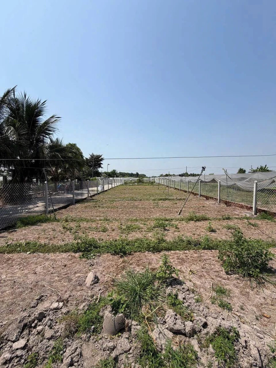 Bán lô đất Phước Vĩnh An Củ Chi 500m2 1,9 tỷ - Ảnh thu nhỏ 2