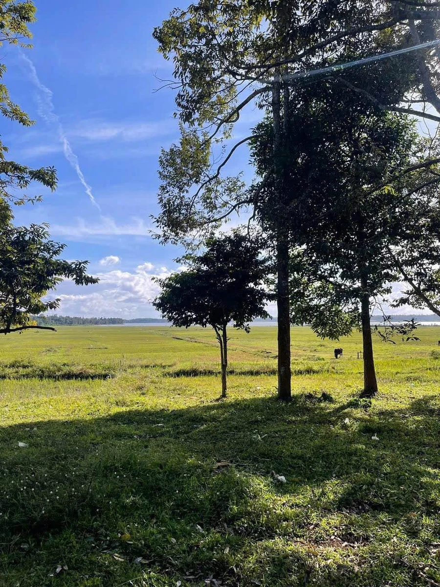 Đất view hồ Ea Nhái 4000m2 xã Cuôr Đăng - Ảnh thu nhỏ 3