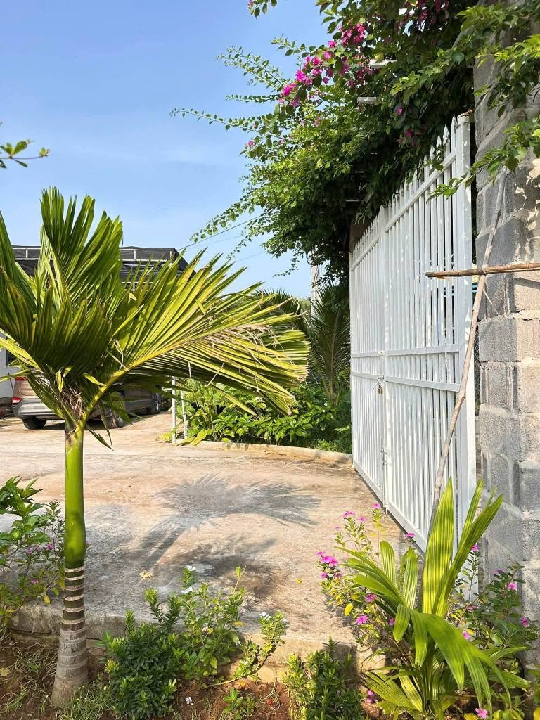 Bán nhà vườn 440m2 Phường Bình Thuận, Phan Thiết 2.5 tỷ