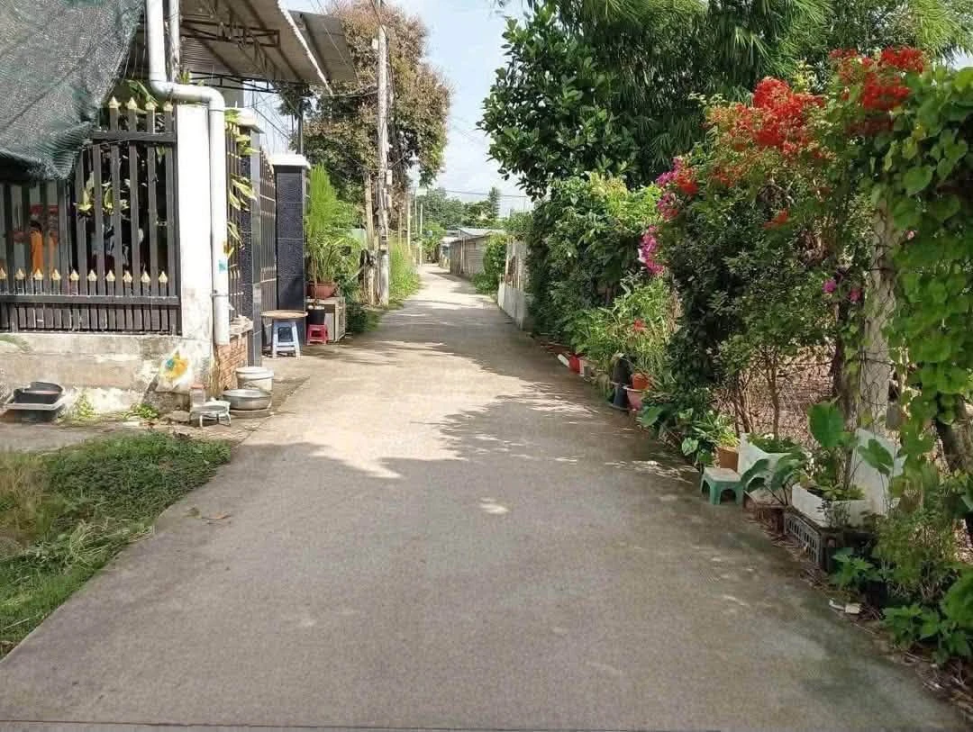 Bán lô đất xây nhà ở Phú An 1 tỷ 290 - Ảnh 1