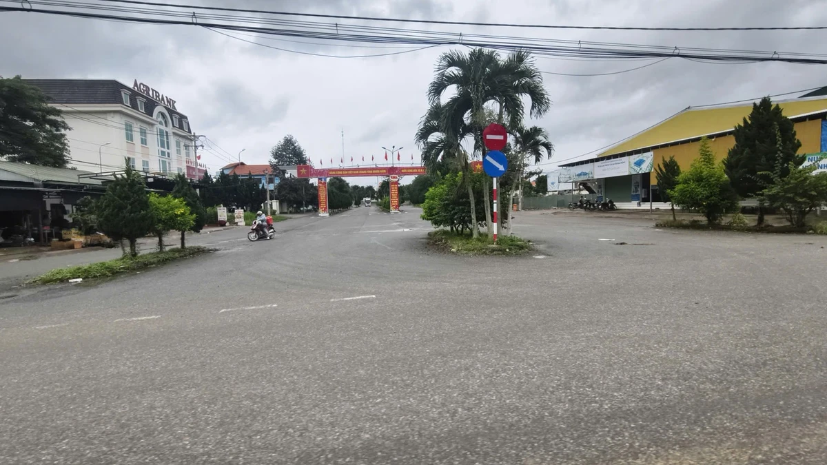 Bán đất ~1.2ha sổ đầy đủ Đam Rông 2, Lâm Đồng - Ảnh thu nhỏ 2