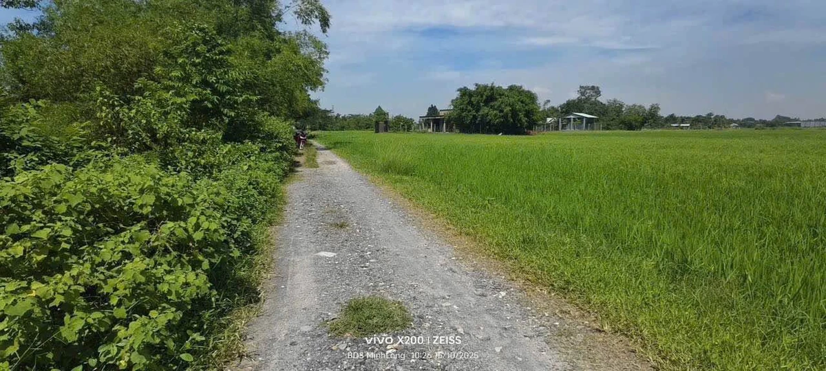 Bán đất 27x35m (945m2) gần Vinhomes 197ha, cách trung tâm Hậu Nghĩa 800m, giá 2,2 tỷ - Ảnh thu nhỏ 2
