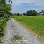 Bán đất 27x35m (945m2) gần Vinhomes 197ha, cách trung tâm Hậu Nghĩa 800m, giá 2,2 tỷ - Ảnh thu nhỏ 2