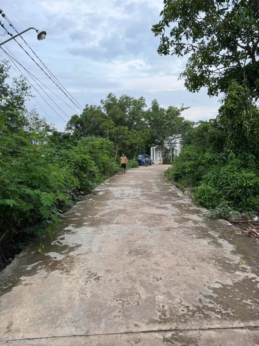 Bán đất nền đầu tư 1.392m2 đường số 30 Nha Bích, Nhà Bè - Ảnh thu nhỏ 3