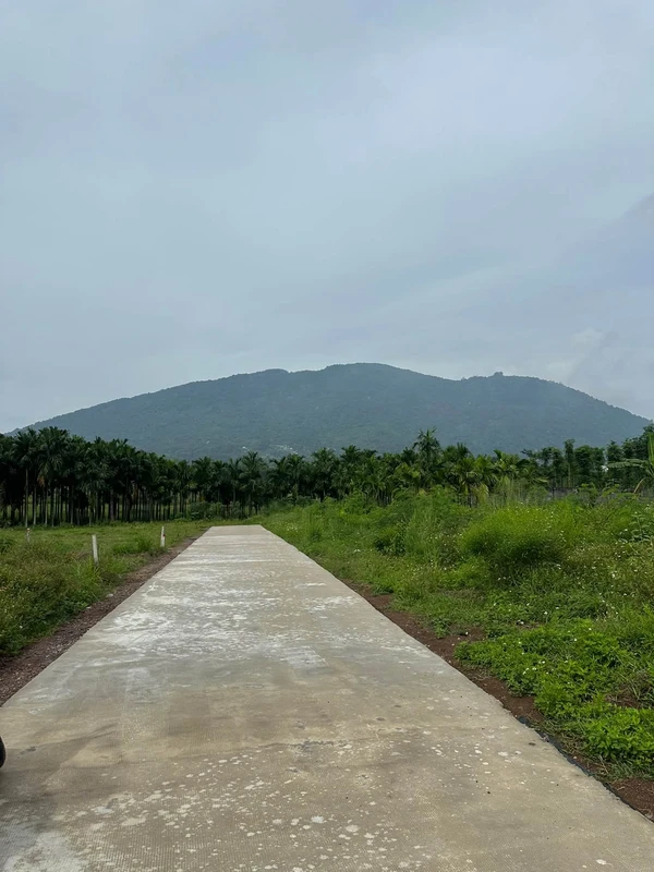 Bán đất thổ cư 5x25m view núi Chứa Chan giá 490 triệu tại Xuân Lộc, Đồng Nai