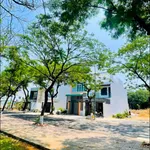 Đất bán đường Nguyễn Trãi Trảng Bom 100m2 - Ảnh thu nhỏ 4