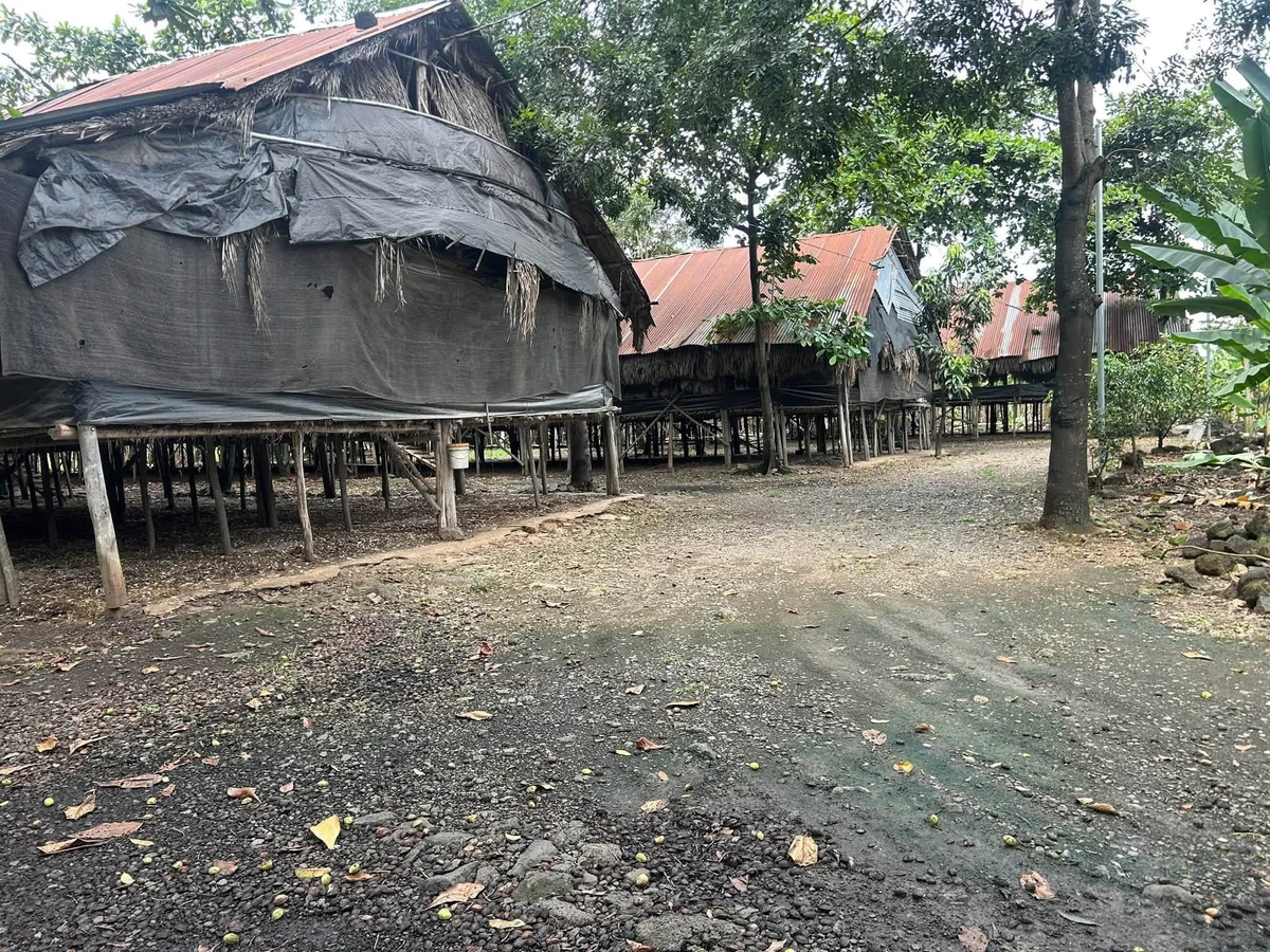 Bán 2 lô đất liền kề 5.375 m² Thống Nhất, Đồng Nai - Ảnh thu nhỏ 4