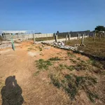 Bán lô thổ cư mặt tiền Xã Hàm Liêm 110m2 - Ảnh thu nhỏ 3