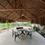 Bán đất nhà vườn Chơn Thành 2000 m² - Ảnh thu nhỏ 3