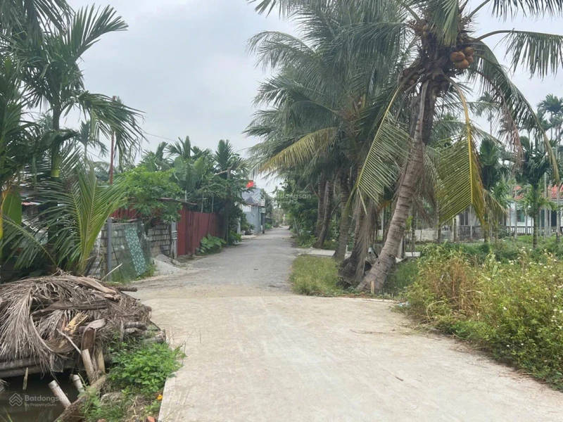 Lô đất rẻ đẹp nhì Kiến Thụy giá trị thực sinh lời tốt cho nhà đầu tư. LH: 0984 986 ***