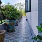 Bán nhà mái Thái 2 phòng ngủ 150m2 thổ cư tại An Điền, Phường Long Nguyên giá 2,33 tỷ - Ảnh thu nhỏ 3
