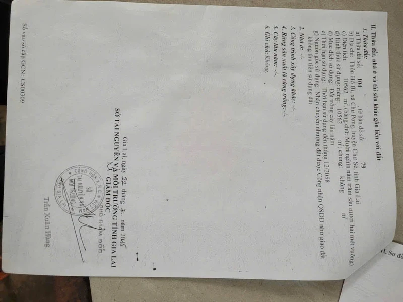 Bán 1,1ha đất cà phê tơ đất đỏ bazan giá 2,2 tỷ tại Chư Sê, Gia Lai