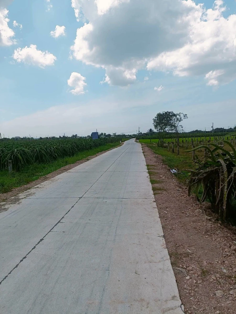 Bán đất 540m² mặt tiền Bình Chánh 490 triệu - Ảnh thu nhỏ 2